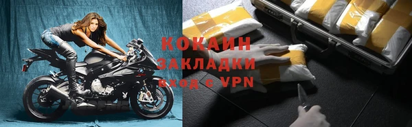 дживик Бронницы