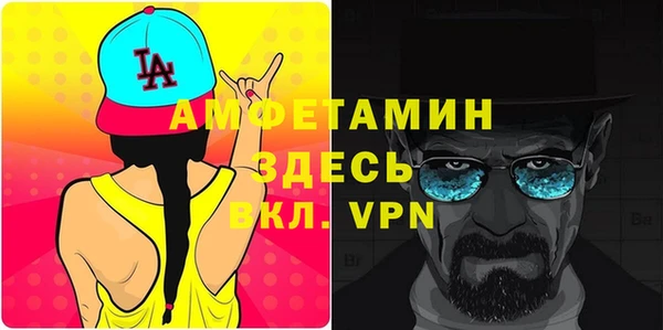 дживик Бронницы