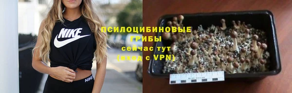 дживик Бронницы
